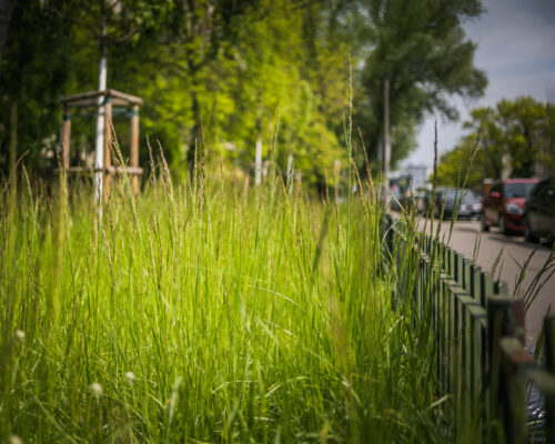 Aktualności nr 5