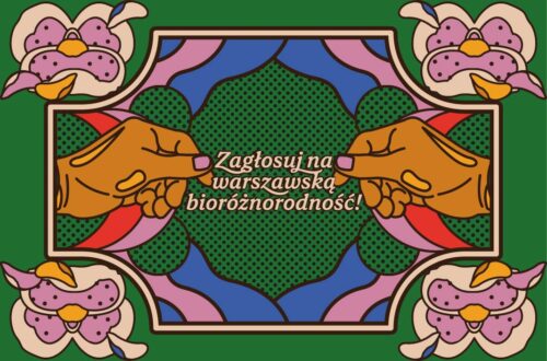 Aktualności nr 1