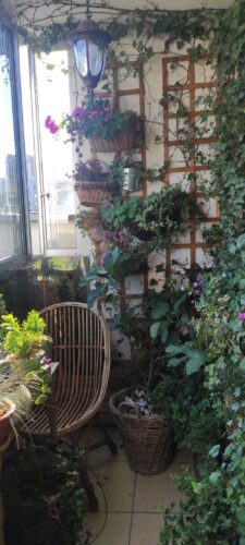 Balkon w kwiatach