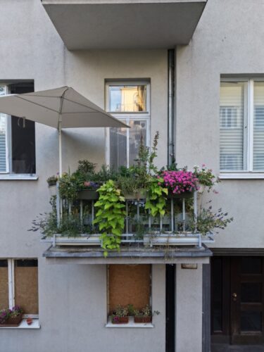 Balkon w kwiatach