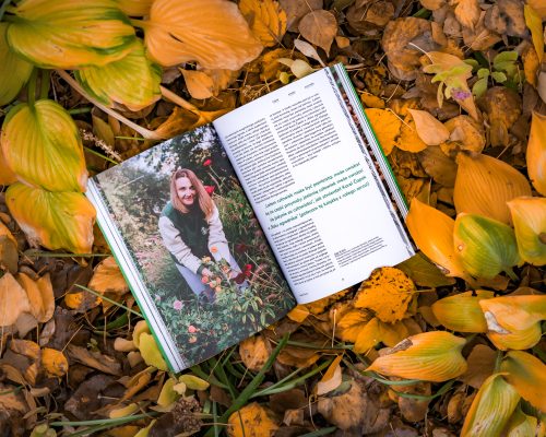 Magazyn Zwykłe Życie w zieleni warszawskiej
