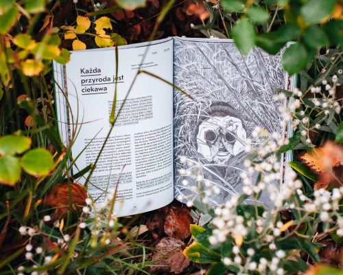 Magazyn Zwykłe Życie w zieleni warszawskiej